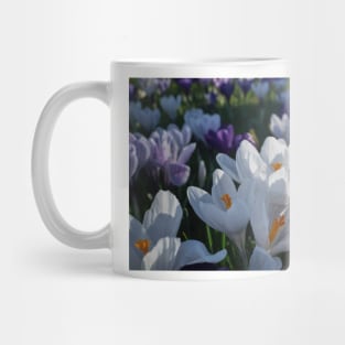 The flowers that bloom in the Spring tra la! (2) Mug